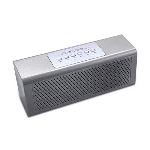 FS-303 ( SILVER )