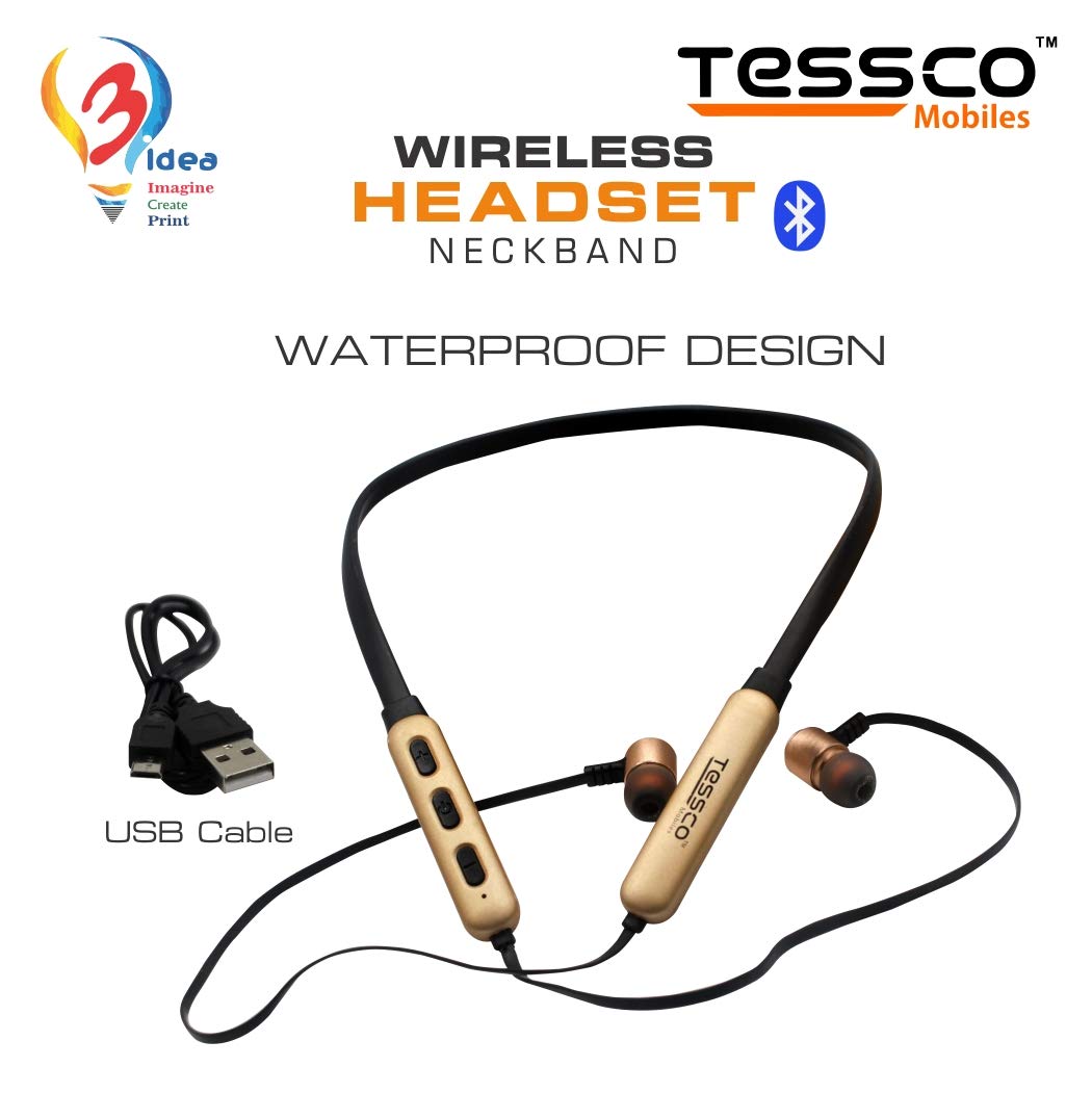 EB-284 ( GOLD )