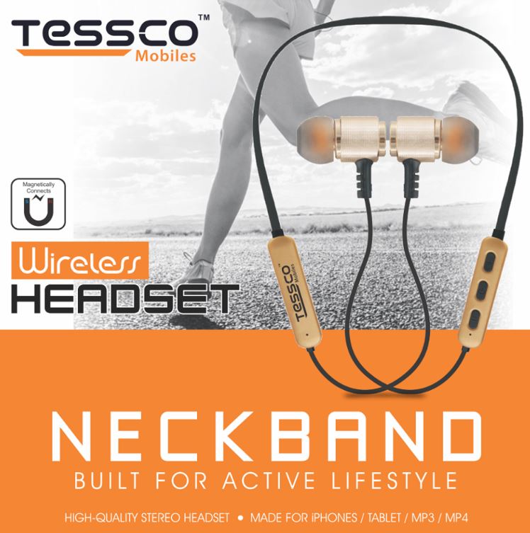 EB-284 ( GOLD )