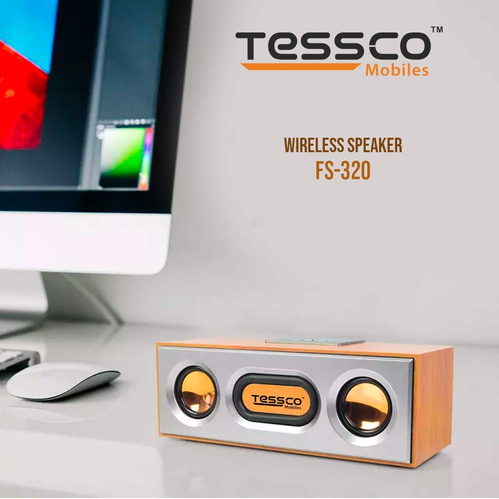 FS-320