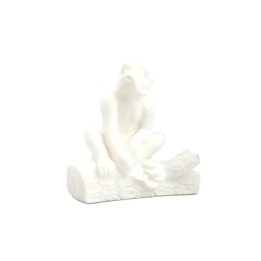 eSun W300 16K Water-Washable Resin, White, 500g